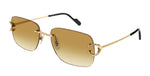 CARTIER CT0330S 003